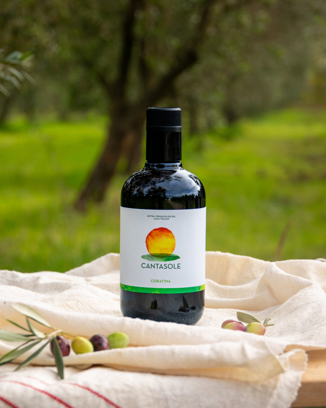 500ml Coratina Robust EVOO 2025